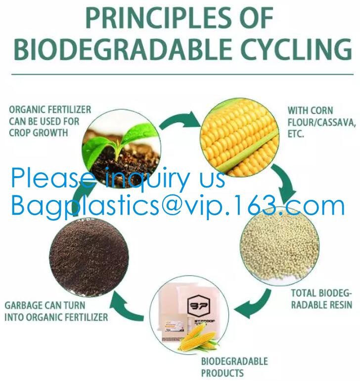 Sugarcane Pulp Bagasse Cassava Biodegradable Packing Freezer Food Fruit Shopping Bag, Home Compostable Garbage Bag