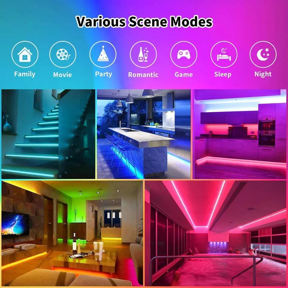 12w 12v 24v 10mm 60 Leds Rgb 5050 Smd Flexible Led Strip Light with and Multi Colors