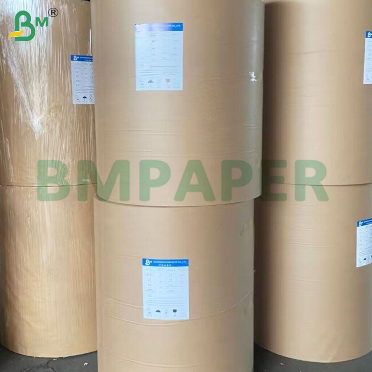 Single Side PE Coating Non Toxic Cup Stock Paper Rolls for Drinks