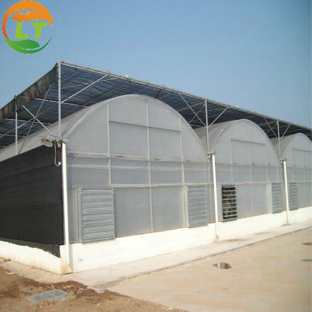 Galvanized Square Steel Pipe Multi-span Film Greenhouse for Irrigation and Ventilation