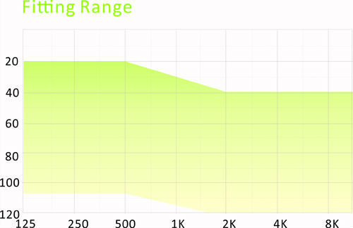 2 Channels Programmable Hearing Aids For Severe Hearing Loss In The Canal