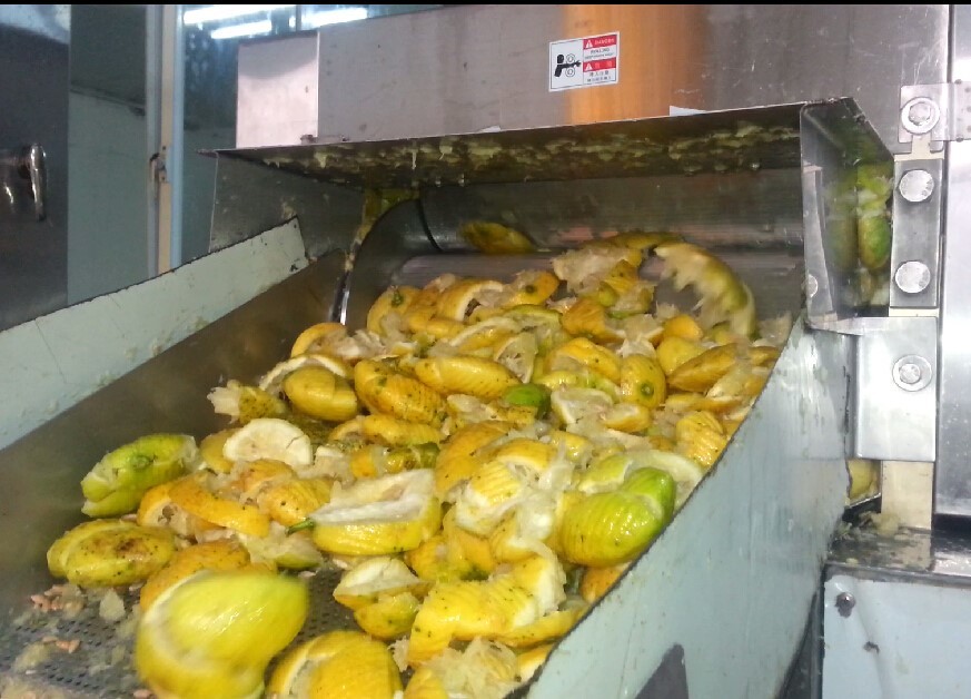 Efficient Orange Mango Pineapple Fruit Juice Production Line With Automatic Grade