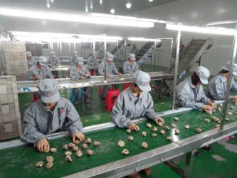 Shenzhen Blueberry Technology Co., Ltd