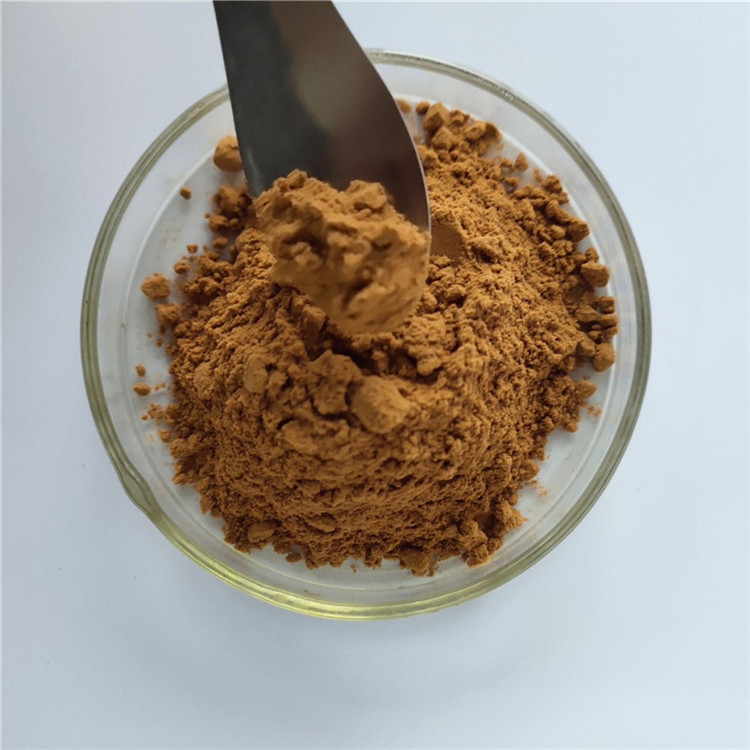 Hot Sale energy supplement Extract gypsum with best price