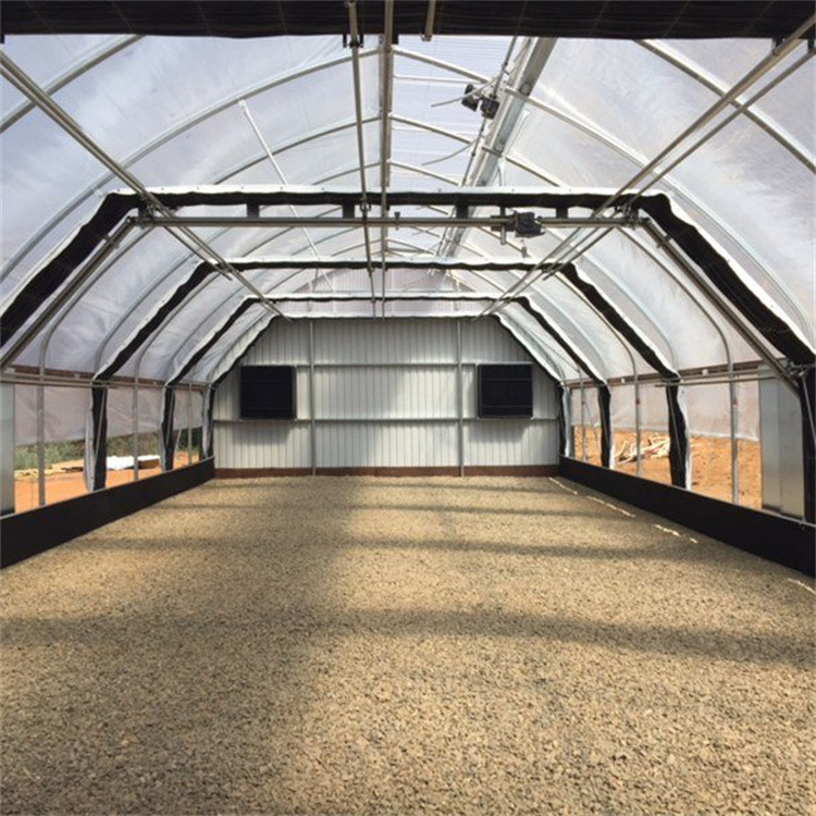 Agricultural Single Span Tunnel Plastic Film DIY Backyard Light Dep Greenhouse