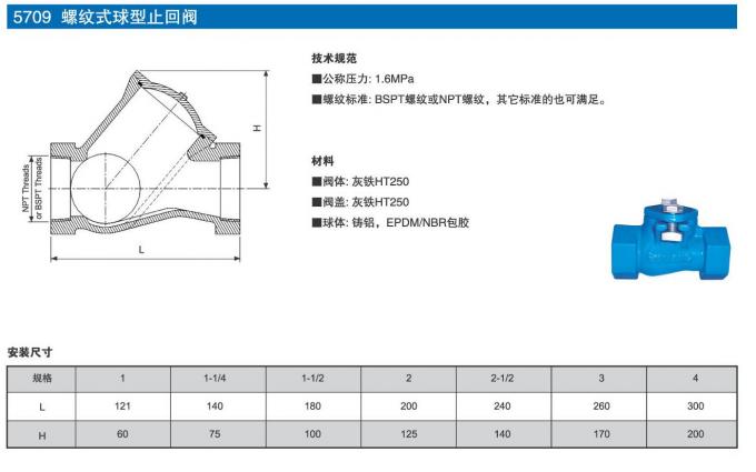 Thread End BSP NPT Ball Check Valve Ductile Iron With Epoxy Caoting Inner And Outer 1