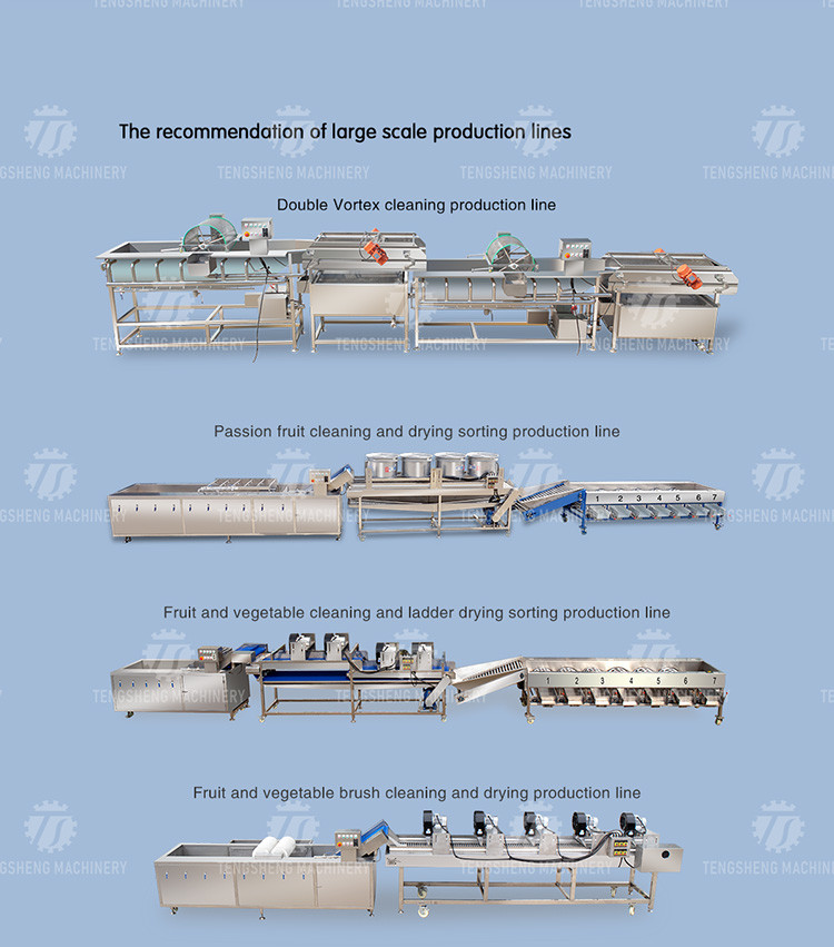 0.75KW 0.8 Tons / Hours Vegetable And Fruit Washing Machine