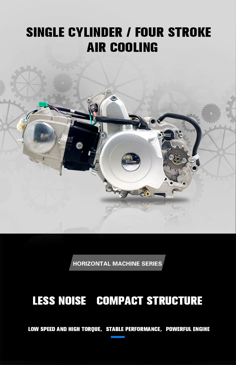 DAYANG 125cc Motorcycle Engine with Air-Cooled Cylinder and Electric Start Method
