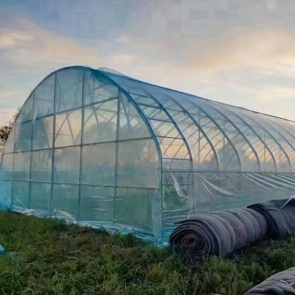 Tunnel Greenhouse for Agriculture and Vegetables