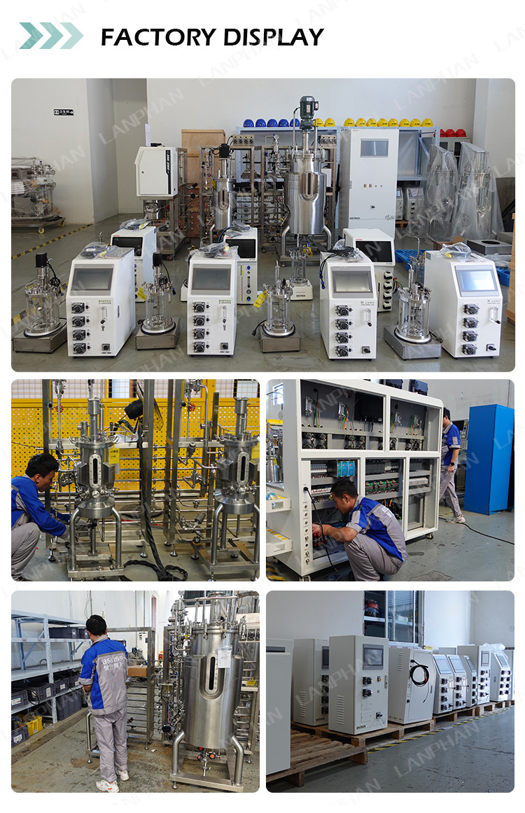 Mini Microbial / Bacteria Fermenter Bioreactor 1l Lab Fermenter Bioreactor For Algae