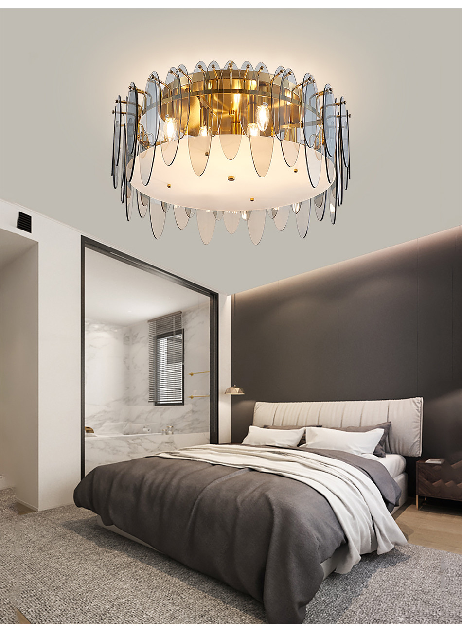 Modern Ceiling Lamps for Living room Bedroom Hallway siling light for living room(WH-CA-65)
