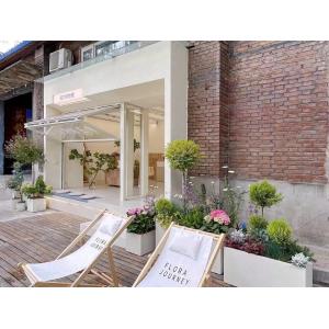 Armor Extreme Cold Folding Window Maintaining Operational Integrity at -60C