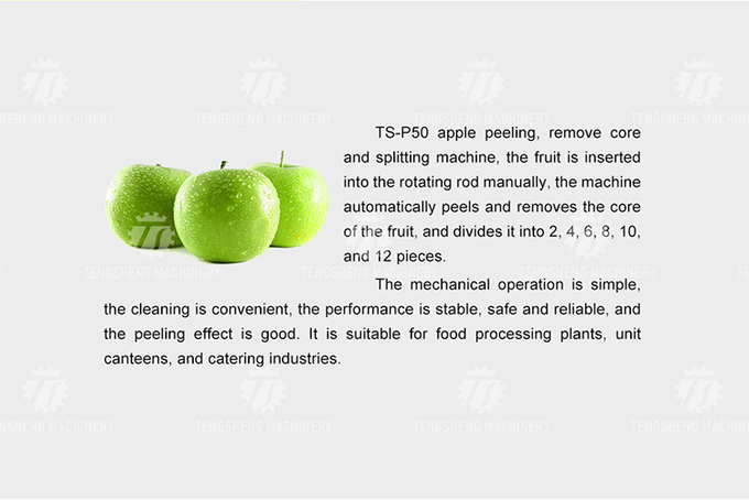 220V Custom Commercial Fruit Peeler , Electric Apple Peeler And Corer Machine Tengsheng