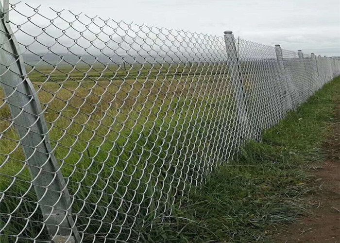 Zinc Coated Cyclone Mesh Fencing 60*60mm Pvc Coated Diamond Mesh