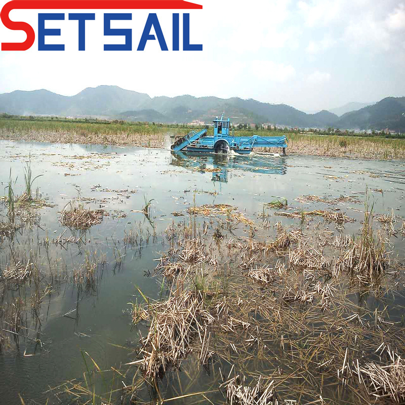 Energy -Efficient Clean River Machinery for Lake Trash