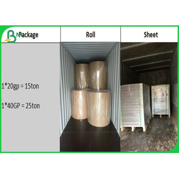 Foodgrade And Greaseproof PE Laminated Kraft Paper Roll For Lunch Box Food Grade And Greaseproof PE Coated Paper Laminated Kraft Paper Roll For Lunch Box