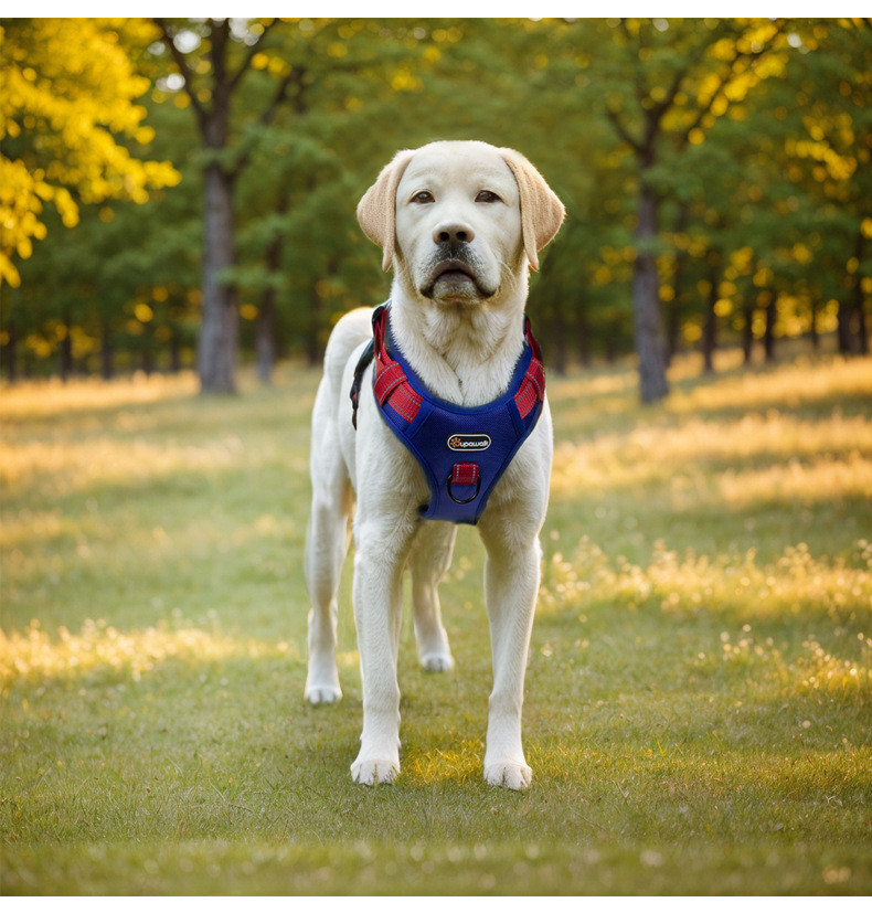 Adjustable Dog Leash Walking Dog Pet Vest Chest Strap Reflective Dog Harness And Leash Set