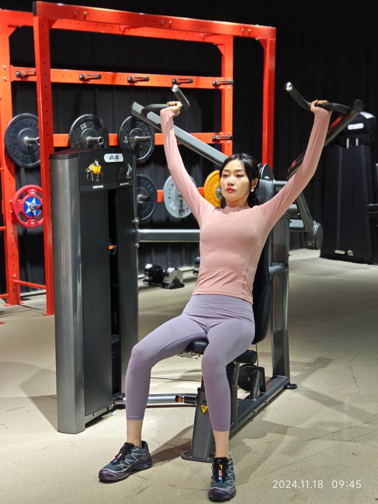 Shoulder Press Ax Series Indoor Commercial Pin Loaded Gym Equipment with Neutral and Overhand Handle Positions for Distribution