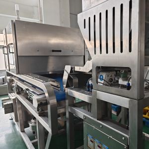 Advanced Industrial Sorting System with Imaging Spectroscopy Technology for