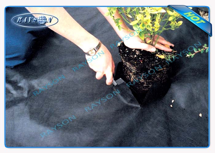 Agriculture Non Woven Cover Weed Control Fabric , Ground Cover Fabric