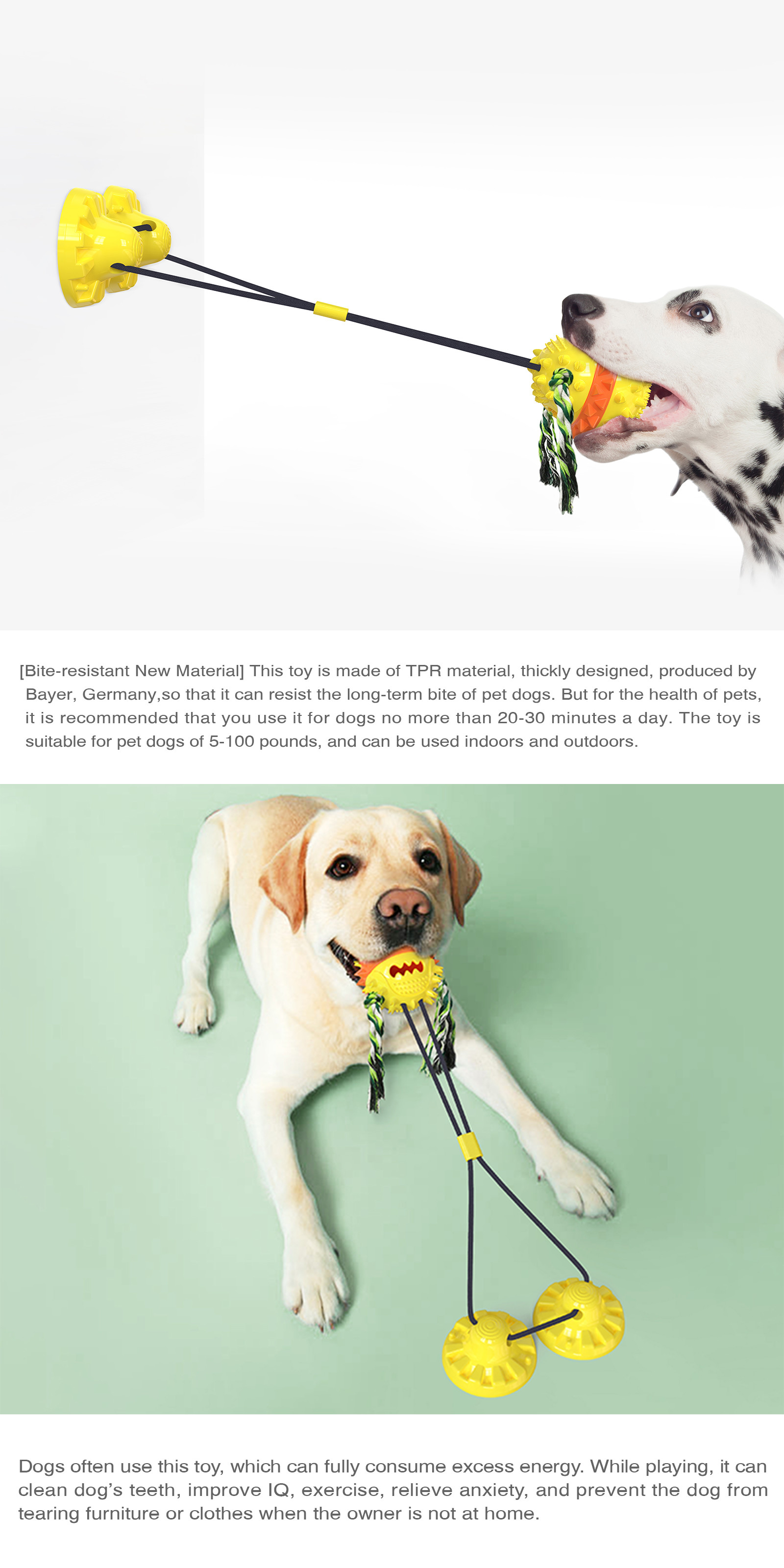 Multicolor Bouncing Interactive Pet Toys 2 Super Powerful Suction Cup Tug Dog Toy