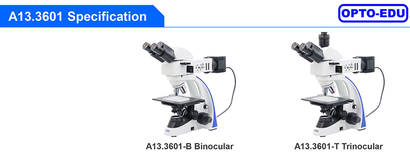OPTO EDU A13.3601 Binocular Metallurgical Microscope Transmit And Reflect Light