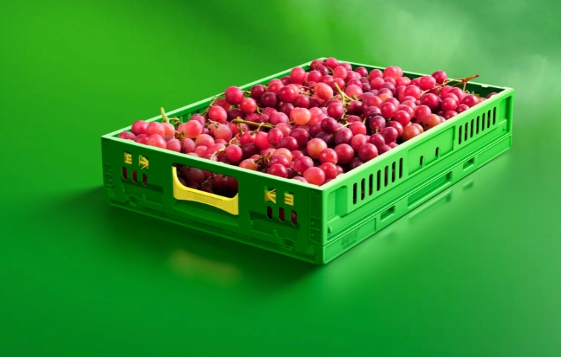 Customized Logo Green Collapsible Plastic Mesh Storage Crate for Vegetables and Fruits