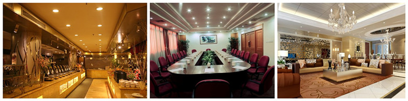 The new LED spot light wholesale - LED Par Light supply