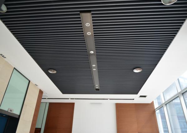 Artist Aluminum Alloy Commercial Ceiling Tiles / Square Tube Screen Ceiling