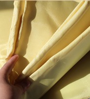 1000D Aramid Fibre Cloth
