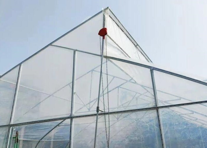 Indoor Hydroponic Tropical Area Polytunnel Sawtootch Greenhouse With Cooling Irrigation System