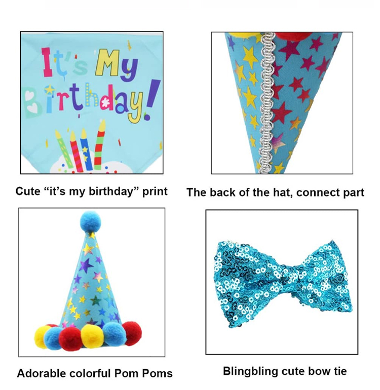 Dog's Birthday Party Supplies Pull Flag Hat and More Get Ready Celebrate