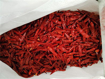Stemless Chinese Dried Chili Peppers 819 High SHU Dried Hot Chillies