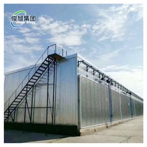 Customized Hot Air Flow Timber Drying Machine With Precise Temperature Control