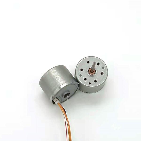 Faradyi Custom Factory Price 24V 4000RPM 5000RPM 24*18mm Brushless Motor For