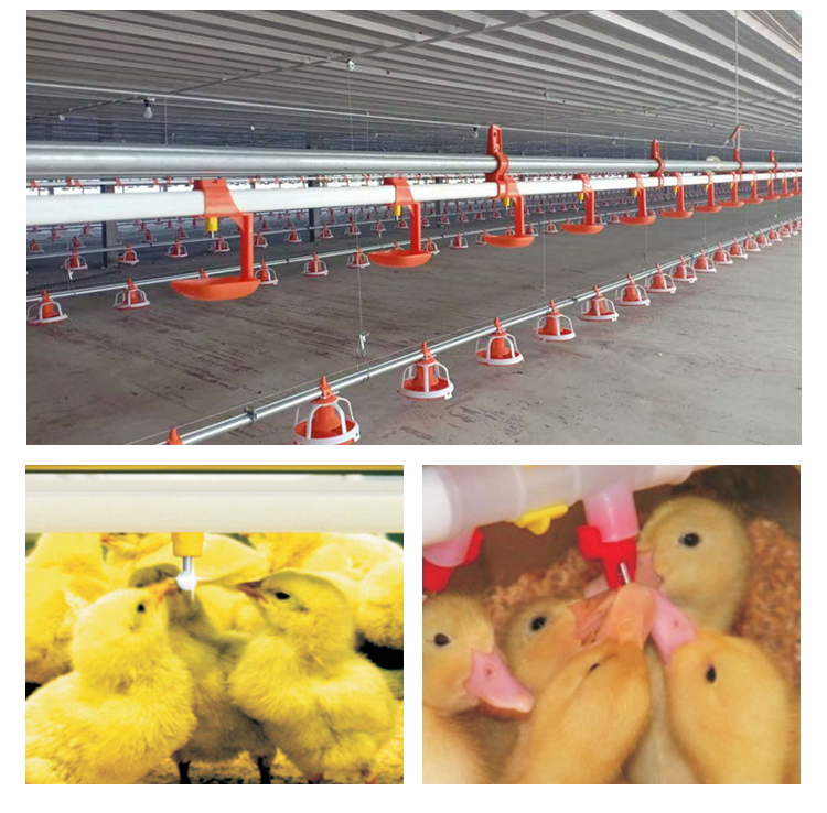 Nipple drinker for pig chicken drinker for farm automatic poultry plastic 8