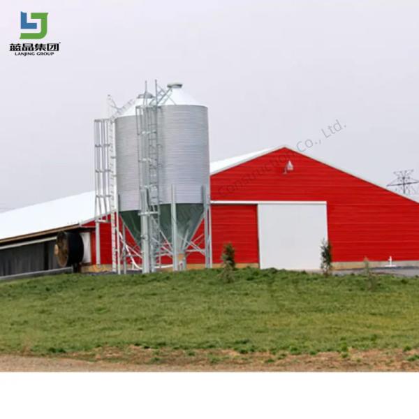 Layer Cages Egg Chicken Poultry House For 10000 Chickens , Poultry Farm