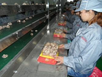 Shenzhen Blueberry Technology Co., Ltd