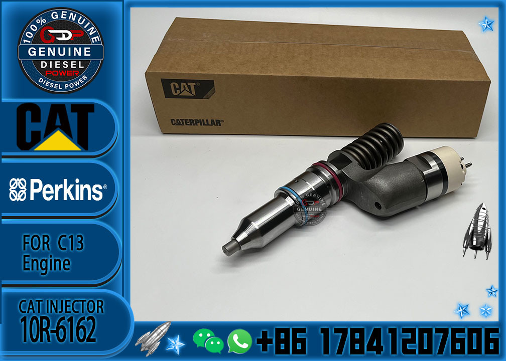 Factory Direct Supply Common Rail Injector 249-0709 294-3002 294-3002 10R-6162 2490709 2943002