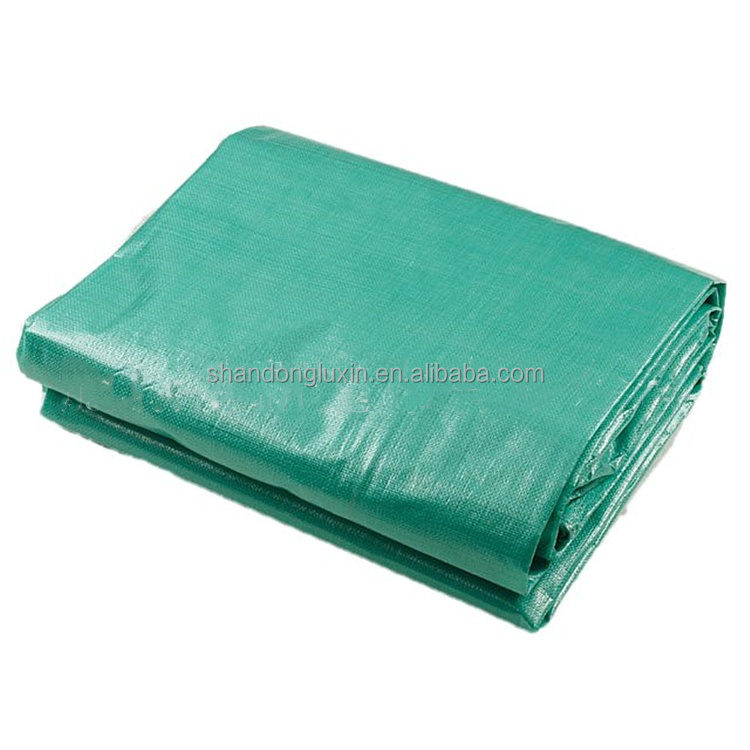 Outdoor Protection Made Easy with Fire Retardant Blue PE Tarpaulin Other Fabric Options