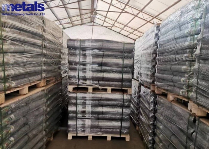 Double Twist Electrical Galvanized Hexagonal Chicken Wire Mesh 1 2 Inch From Factory