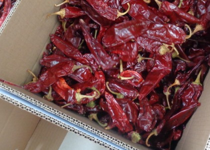 Grade A Dried Guajillo Chili Whole / Stick Impurity 0.3% Max Grade 10-15cm