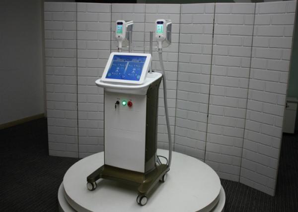 non surgical effective result fat freezing cryolipolysis machine for sale