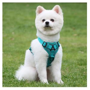 Leash for small dogs and cats with reflective breathable vest pet harness
