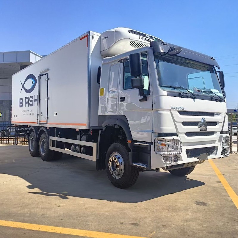 10 wheel 20-25 tons refrigerator truck 6x4 SINOTRUK HOWO truck refrigeration unit