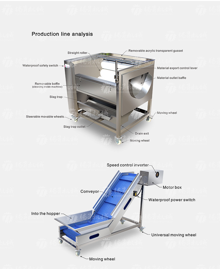 Multifunctional Vegetable And Fruit Processing Line Hair Roller Bubble Cleaning Production Line
