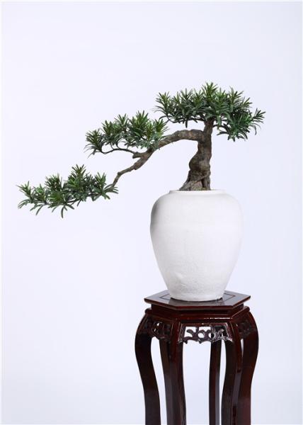 Podocarpus Artificial Pine Trees Outdoor Premium Grade Artificial Foliage Hand