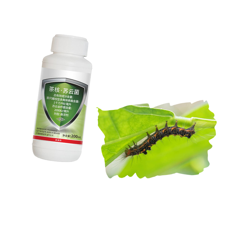 Bt Bacillus Thuringiensis Biological Insecticides Green Tea Pesticides