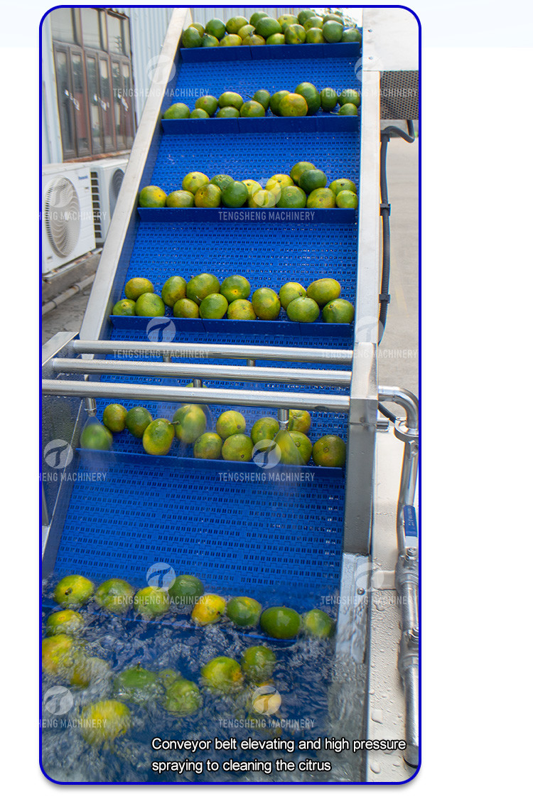 Citrus Stalk Eliminated Lemon Processing Machinery Industrial Air Bubble Brush