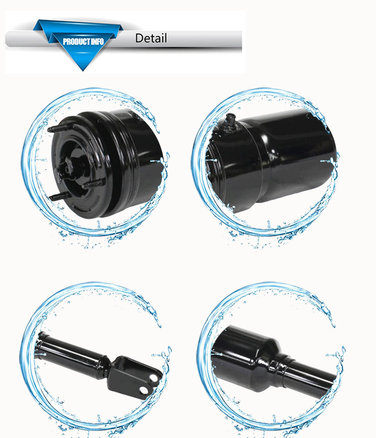 Air Shock AbsorberS Strut Air Suspension Fit For Lexus 460 48010-50240 FRONT